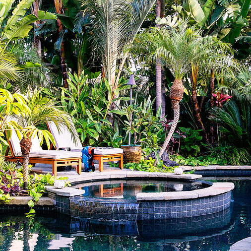 tropical privacy screening for pools